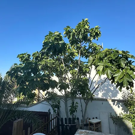 Paraiso De La Luz 7 Bedrooms, Swimming Pool & 4 Bathrooms Cadiz
